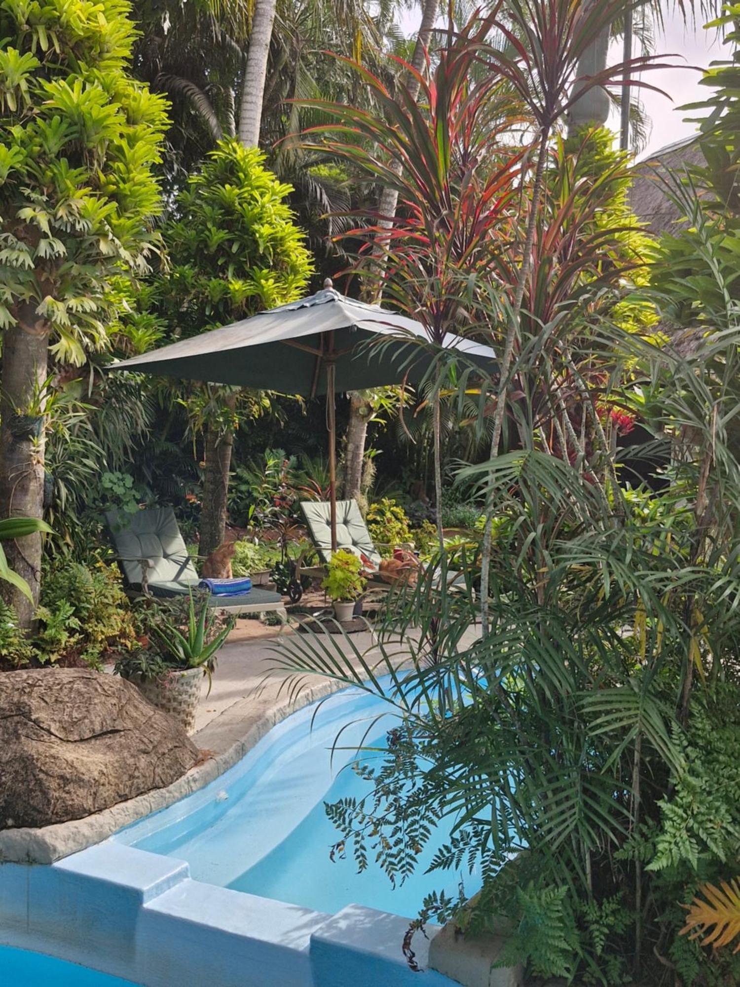 African Ambience Guest House Сент-Люсия Экстерьер фото