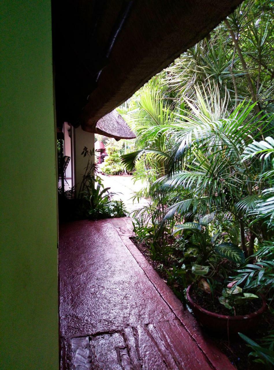 African Ambience Guest House Сент-Люсия Экстерьер фото